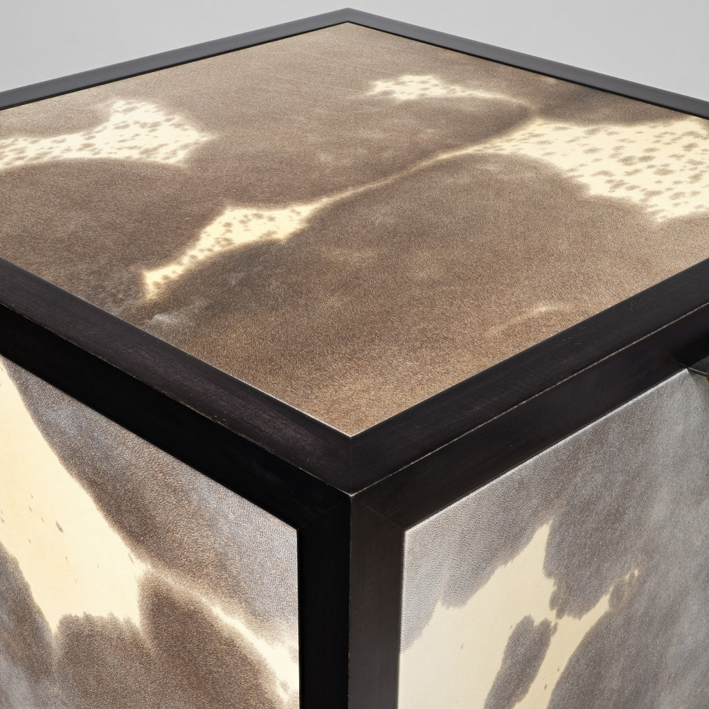 ORAGE III CABINET