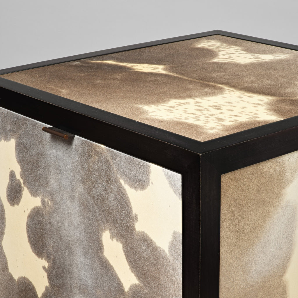 ORAGE III CABINET